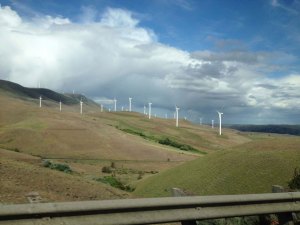 Wind turbines line the highway in Goldendale